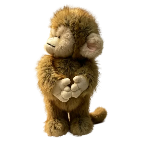 Kong with eyes closed and both hands held together in front of the chest